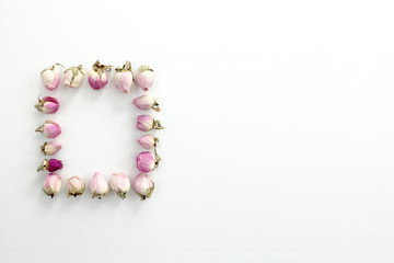 Frame of pink roses in the form of a square on a white background. There is space for text