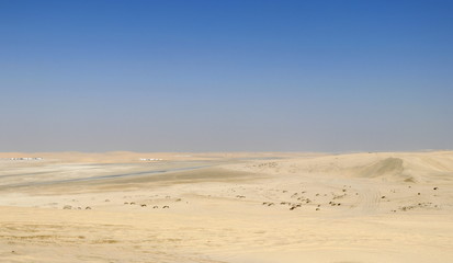 désert du Qatar en véhicule tout-terrain (4*4)