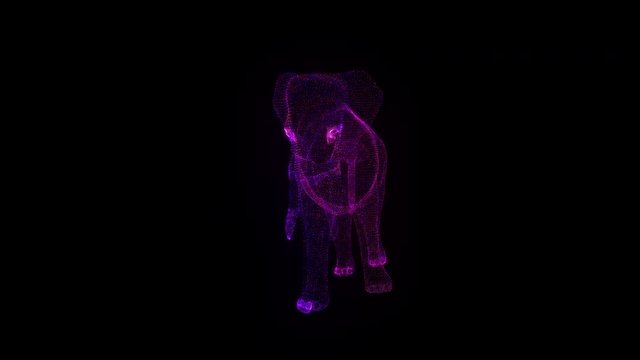 Elephant RGB Hologram Wireframe. Nice 3D Animation on a black background with a seamless loop for futuristics projects