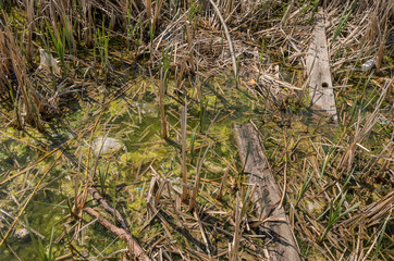 Lake polluted with garbage and bottles	