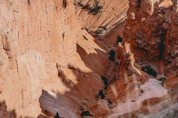 landscape in Bryce Canyon