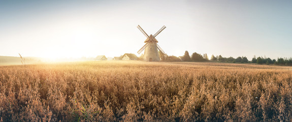 
Rural landscape at dawn, terrain with oat fields and from the and a windmill and village on the hill. Raster illustration. - obrazy, fototapety, plakaty