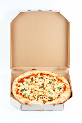 pizza on a white background