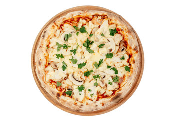 pizza on a white background