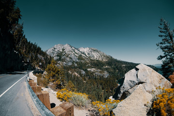 landscape at Lake Tahoe