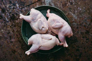 Fresh farm quails carcasses in a ceramic plate top view Healthy dieting food