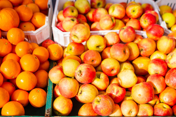 apples at the market