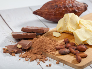 Pieces of natural cocoa butter, bar of milk chocolate, cocoa powder,