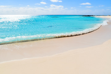 Fototapeta premium Cuban beach, Cayo Largo del Sur, Cuba.