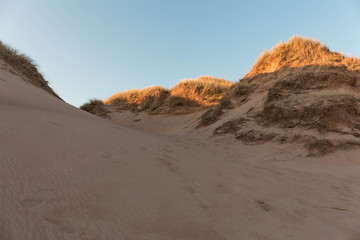 Fototapeta na wymiar Beautiful dunes at sunset on Balmedie beach