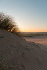 Beautiful dunes at sunset on Balmedie beach