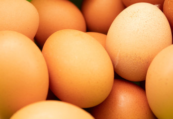 Huevos colorados