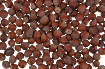 Hazelnuts pattern isolated on white background. Close-up.