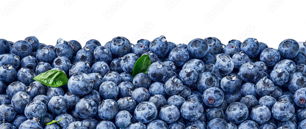 Poster Fresh blueberry background. Blueberry leaves with berries and drops. Top view. Concept of healthy and dieting eating. Blue texture of blueberries.