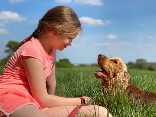 Little girl and her dog in a grassy field on a sunny day