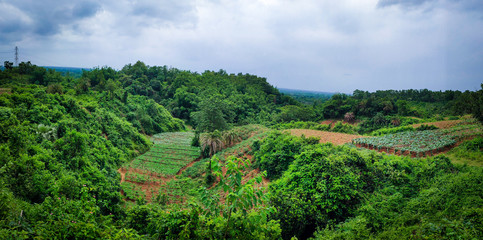 Fototapeta na wymiar Beautiful Landscape photo of hills of Bangladesh 