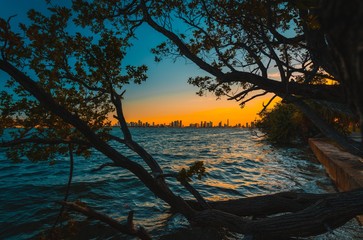 sunset lake water sky landscape sea buildings skyline summer miami florida downtonw tree nature beautiful impressions sunrise sun dusk beach river blue orange ocean coast silhouette © Alberto GV PHOTOGRAP