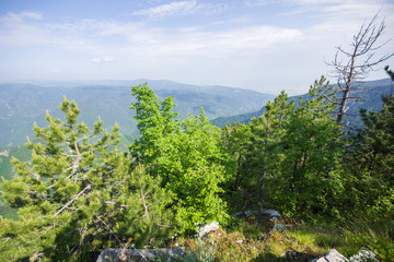 Fototapeta na wymiar Landscape from The Red Wall Peak to Rhodopes, Bulgaria