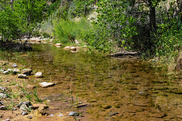 Fototapeta na wymiar A shallow creek in the Angeles National Forest in Los Angeles County.