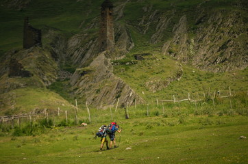 Fototapeta na wymiar Hiking in Georgian Caucasus mauntains. Omalo Shatili trek.
