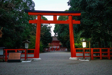 京都　下鴨神社