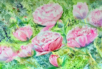 Watercolor pink peonies flower bloom in peonies garden. Nature. Horizontal view, copy-space. Template for designs, card, posters, board.
