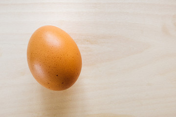 Single, Angled Brown Egg on Cedar Background