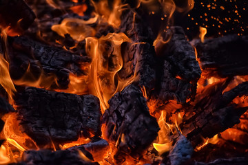 bonfire and flames, embers