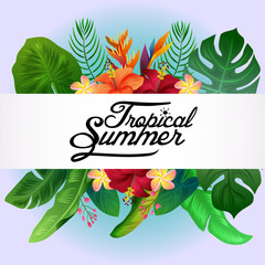 tropical summer lettering nature background