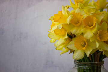 beautiful bouquet of yellow daffodils