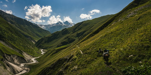 Fototapeta na wymiar Donkeys in The most beautiful valley on Omalo Shatili trek. In georgian Caucasus.
