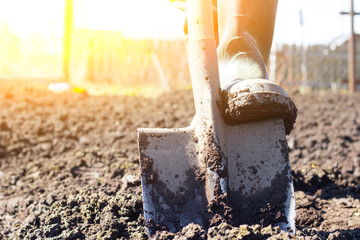Digging of beds in the spring. Sowing. Preparing the soil for sowing. Home garden. Self-isolation...