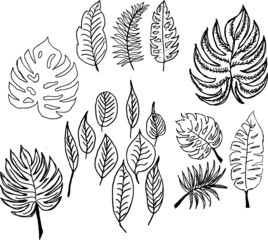Hand drawing flower and leaf sketch print and embroidery graphic design vector art