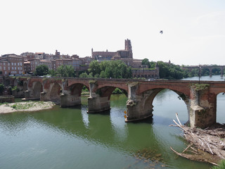 Obraz premium Cathedral and Pont vieux in Albi, France