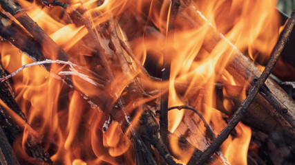 Hot red orange wood fire on branches burning close-up. Warm flames on full screen