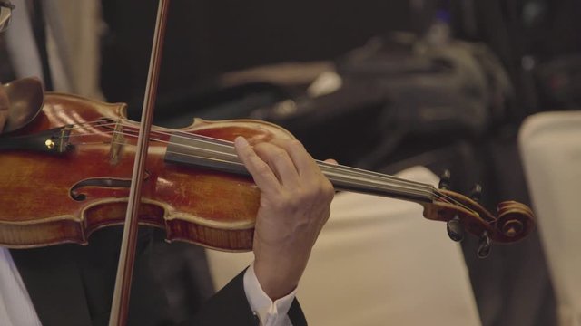 Orchestra musician playing the violin gently. Musician making classical music. Close up at 
string instrument
