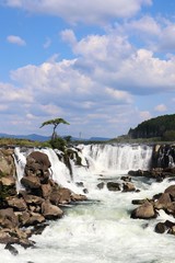 Obraz premium 曽木の滝