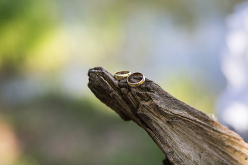 Obrączki (Wedding rings)