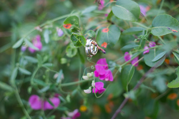 Obrączki (Wedding rings)