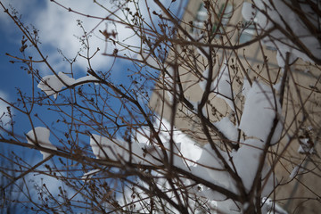 Snow on the bushes, sunny weather in the city Снег на кустах, солнечная погода в городе 