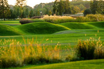 large open landscaped meadows with bushes and shrubs decorated in landscaping