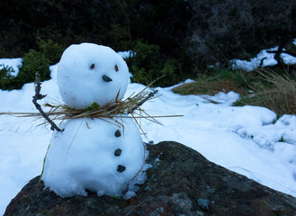 snowman in the forest