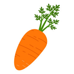 Isolated carrot icon