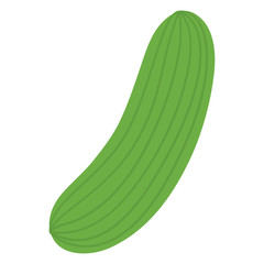 Isolated cucumber icon