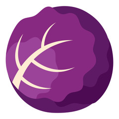Isolated purple cabbage icon