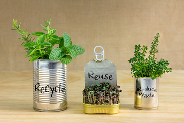 Reused tin cans containing herbs and growing salad greens with Recycle, Reuse, Reduce waste text...