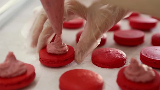 Process of making macaron macaroon, french dessert, squeezing the dough form cooking bag