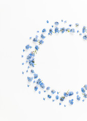 Macro Close Up of Adorable Tiny Blue Forget Me Not Flowers on White Background