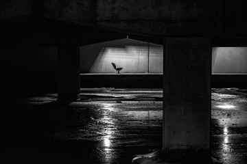 isolation.