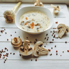 soup with mushrooms and bread